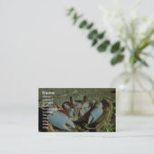 幽霊のカニ 名刺 (スタンド正面)