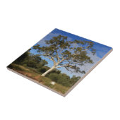 幽霊のゴムの木、奥地にオーストラリア タイル (側面)