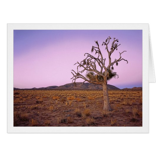 「幽霊の形状シフター」 (正面横)