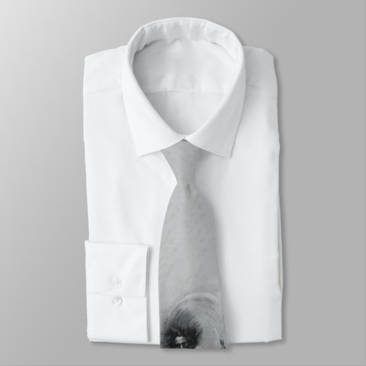 幽霊の海賊タイ ネクタイ (タイ)