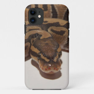 幽霊の球の大蛇 iPhone 11 ケース