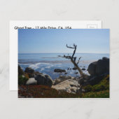 幽霊ツリー – 風光明媚な17マイルドライブのはがき ポストカード (正面/裏面)