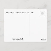 幽霊ツリー – 風光明媚な17マイルドライブのはがき ポストカード (裏面)