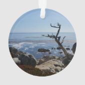 幽霊ツリー – 風光明媚な17マイルドライブオーナメント オーナメント (裏面)