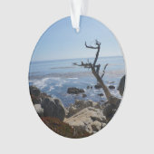 幽霊ツリー – 風光明媚な17マイルドライブオーナメント オーナメント (正面)