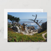 幽霊ツリー – 風光明媚な17マイルドライブ#2はがき ポストカード (正面/裏面)