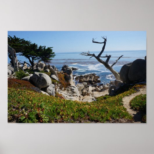 幽霊ツリー – 風光明媚な17マイルドライブ#2ポスター ポスター (正面)