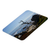 幽霊ツリー – 風光明媚な17マイル駆動フォトマグネット マグネット (左側)