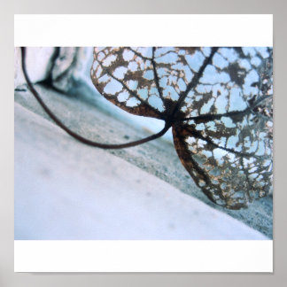 幽霊春 ポスター