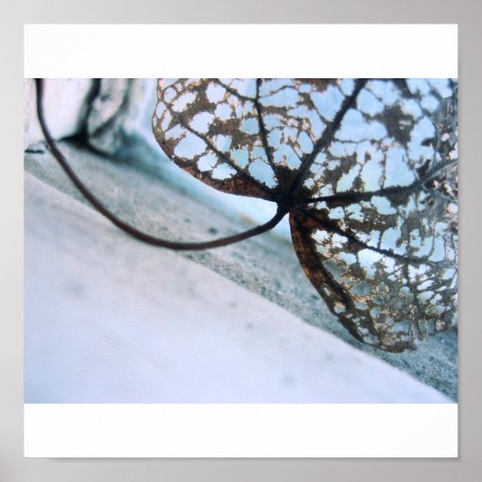 幽霊春 ポスター (正面)