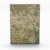 幽霊花 フォトブロック (正面)