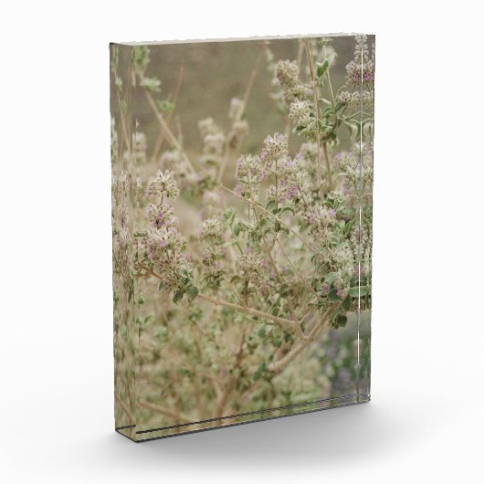 幽霊花 フォトブロック (左)