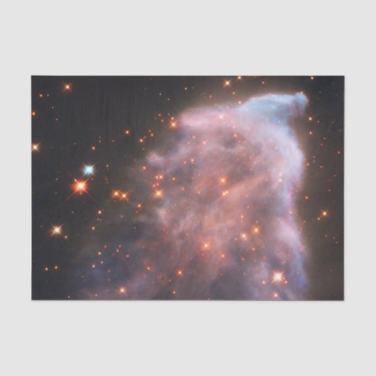 幽霊・カシオペア星雲 薄葉紙 (正面)