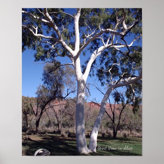 幽霊・ガム・イン・アリス ポスター (正面)