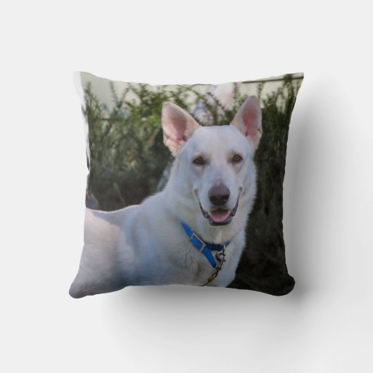 幽霊 クッション (裏面)