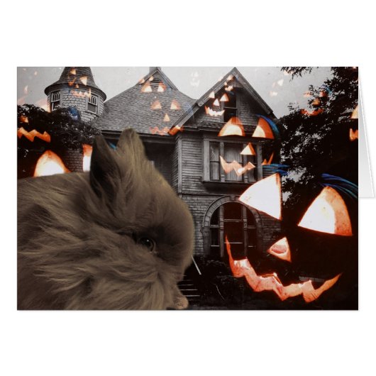 幽霊、グール、ブンニー (正面横)