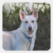 幽霊 スクエアシール (正面)