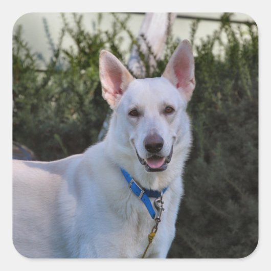 幽霊 スクエアシール (正面)