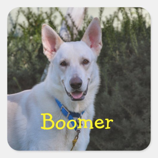 幽霊 スクエアシール (正面)