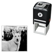 幽霊 セルフインキングスタンプ (インサイチュ)