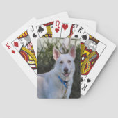 幽霊 トランプ (裏面)