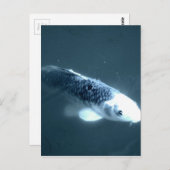 幽霊 ポストカード (正面/裏面)