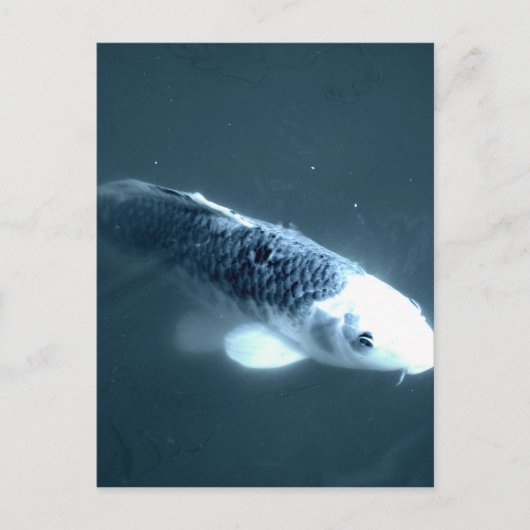 幽霊 ポストカード (正面)