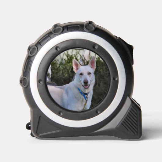 幽霊 メジャー (正面)