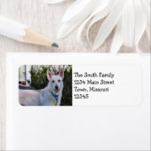 幽霊 ラベル (インサイチュ)