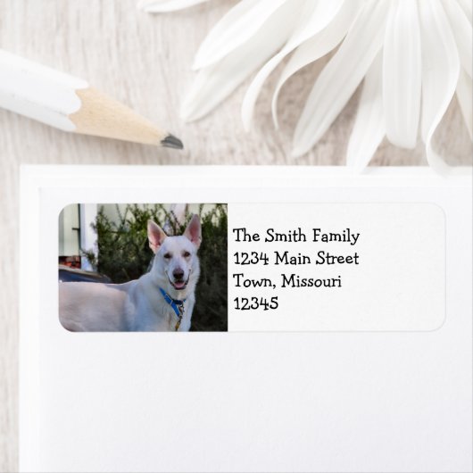 幽霊 ラベル (インサイチュ)