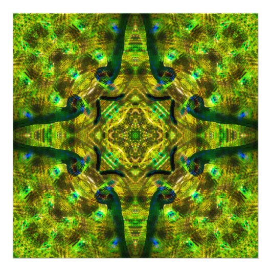 幾何トリップ(幻覚体験)のようなサイケデリック万華鏡のように千変万化するパターン孔雀 フォトプリント            (正面)