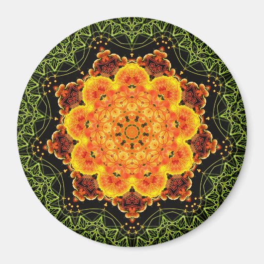 幾何学バチカ磁石 マグネット (正面)