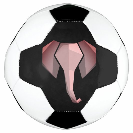 幾何学象の頭 サッカーボール (正面)