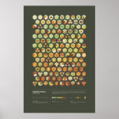 幾何級数 – コレクション1、シリーズ1 ポスター (正面)