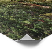 広い夕べビュー – ノルウェー,ホルダランド ポスター (角)