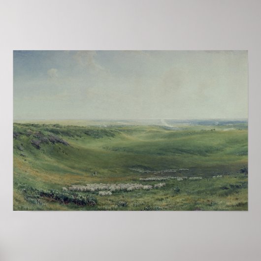 広い牧草地，サセックス ポスター (正面)