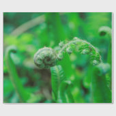 広がるシダ ラッピングペーパー (フラット)