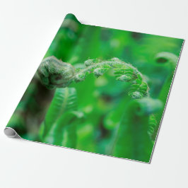 広がるシダ ラッピングペーパー