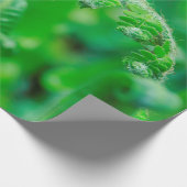 広がるシダ ラッピングペーパー (角)