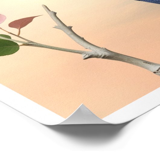 広く広がり、明るい青い翼を持つ赤い鳥 ポスター (角)