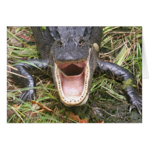 広く開けて下さい! フロリダのわに