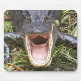 広く開けて下さい! フロリダのわに マウスパッド