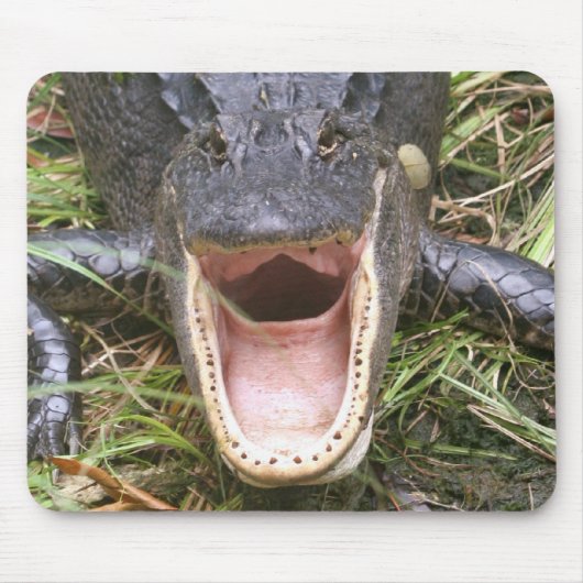 広く開けて下さい! フロリダのわに マウスパッド (正面)
