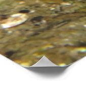 広く開け！ ポスター (角)