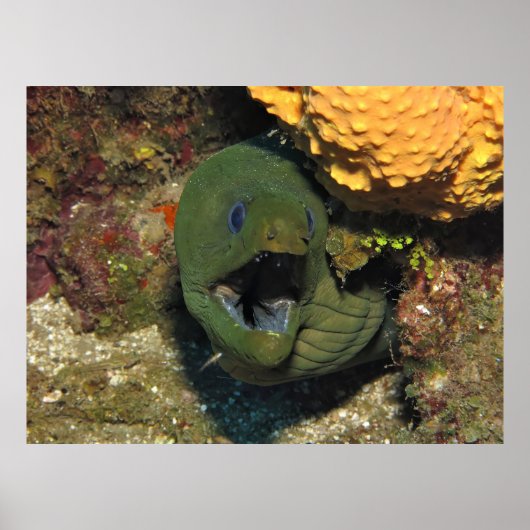 広く開け！ ポスター (正面)