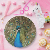 広げられた羽を持つ美しい孔雀の写真 ペーパープレート (パーティー)