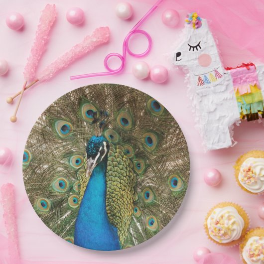 広げられた羽を持つ美しい孔雀の写真 ペーパープレート (パーティー)