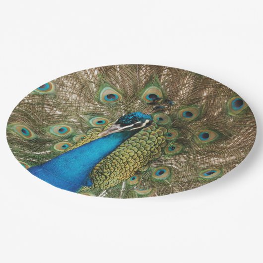 広げられた羽を持つ美しい孔雀の写真 ペーパープレート (アングル)