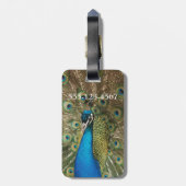 広げられた羽を持つ美しい孔雀の写真 ラゲッジタグ (裏面縦)