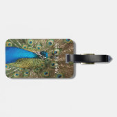 広げられた羽を持つ美しい孔雀の写真 ラゲッジタグ (裏面横)